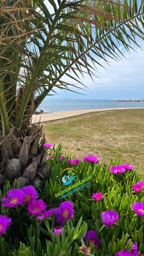 פריבלאקה Lakokocsik A Tengerparton - Caravans At The Sandy Beach מראה חיצוני תמונה